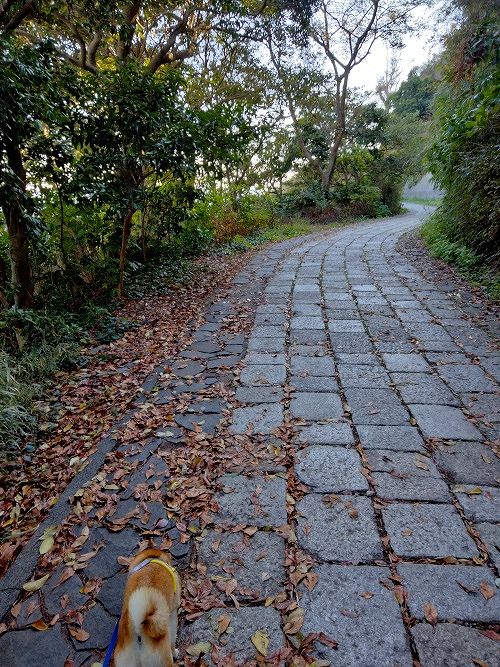 観音崎公園の石畳