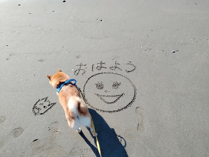 砂浜に書かれてる絵を見てる凜太郎